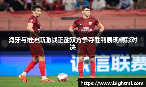海牙与维迪斯激战正酣双方争夺胜利展现精彩对决